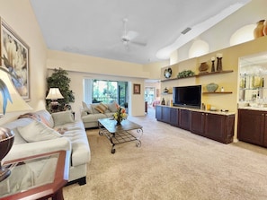 TV, music library, stereo