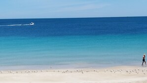 Ein Strand mit einer Person, einem Boot im Wasser und Möwen am Sand.