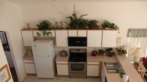 Cocina compacta con refrigerador, microondas, horno y tostadora. Hay plantas en macetas sobre la encimera y un lavamanos con grifo.