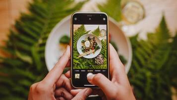 A person holding a smartphone with a photo of a dish on a plate, surrounded by greenery.