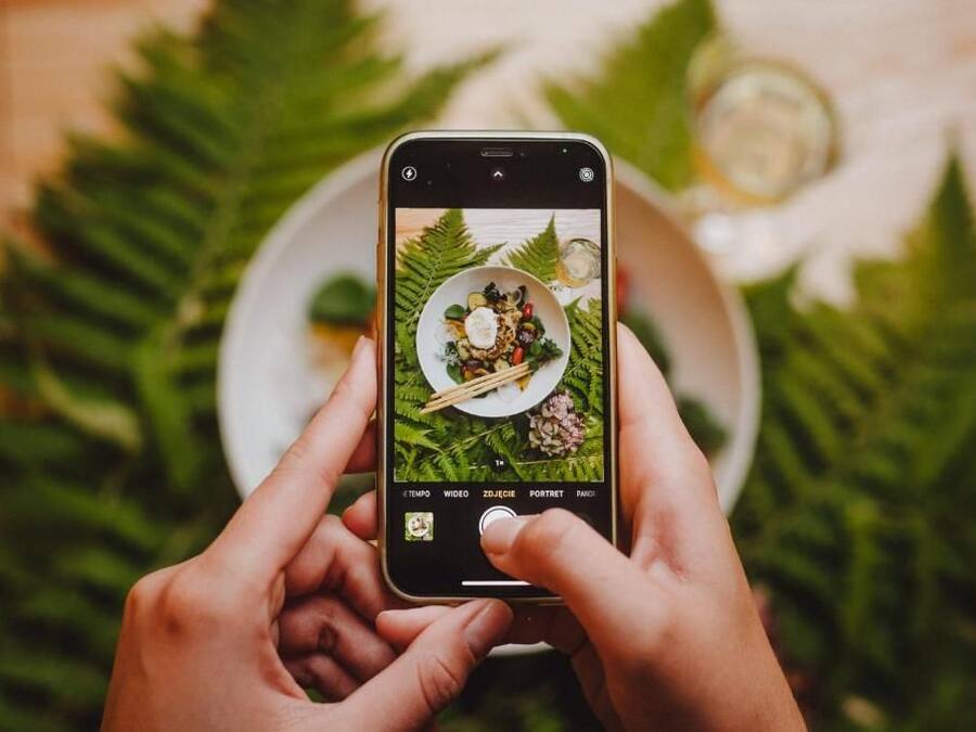 A person holding a smartphone with a photo of a dish on a plate, surrounded by greenery.