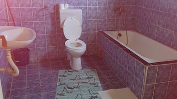 Hair dryer, soap, toilet paper