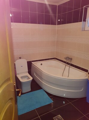 Sèche-cheveux, savon, papier toilette