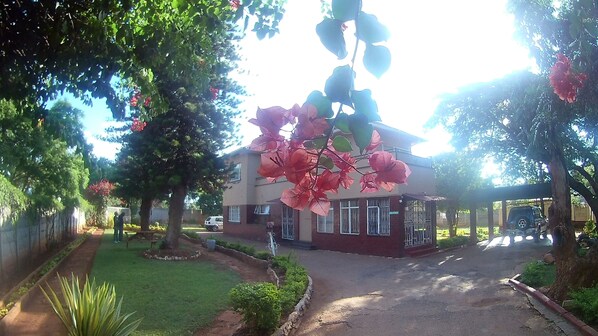 Property grounds - Ginger lilly offers a serene environment , great rooms with astounding colors et (Bulawayo)