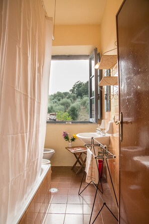 Dusche, Haartrockner, Bidet, Handtücher