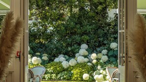 Une porte donnant sur un jardin où poussent des fleurs blanches et où le sol est recouvert de bois.