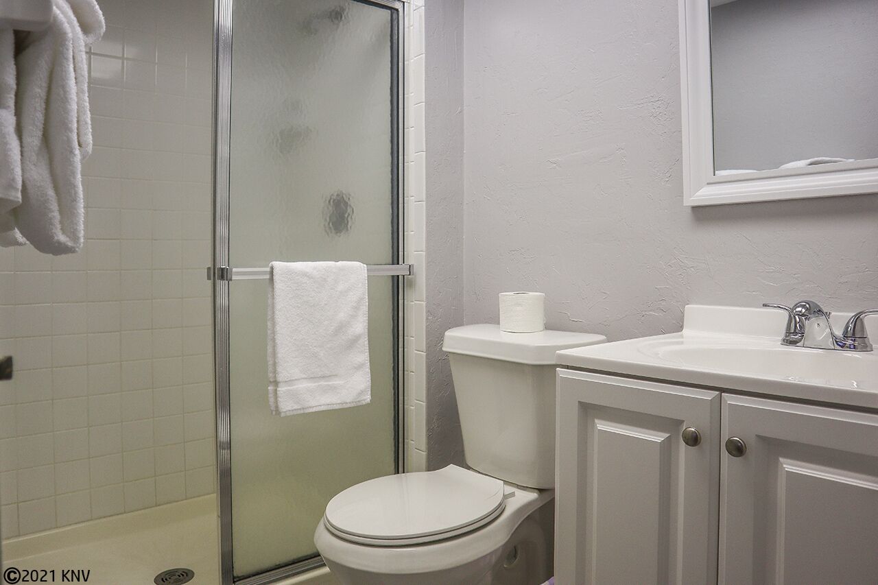 Une salle de bain avec une douche à porte en verre, des toilettes et un lavabo avec un miroir au-dessus.