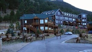Un chalet à étages, doté de plusieurs balcons et entouré d’une zone boisée.