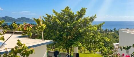 Piscina a l'aire lliure