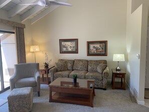 TV, DVD player, books