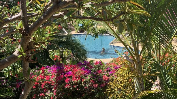 Una piscina rodeada de exuberante follaje y flores vibrantes.