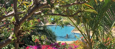 Ein Pool, umgeben von üppigem Grün und farbenprächtigen Blumen.