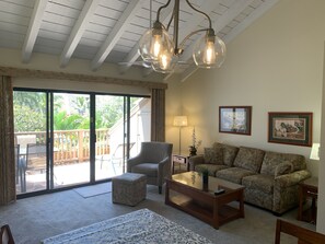 TV, DVD player, books