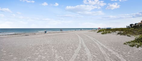 Nära stranden