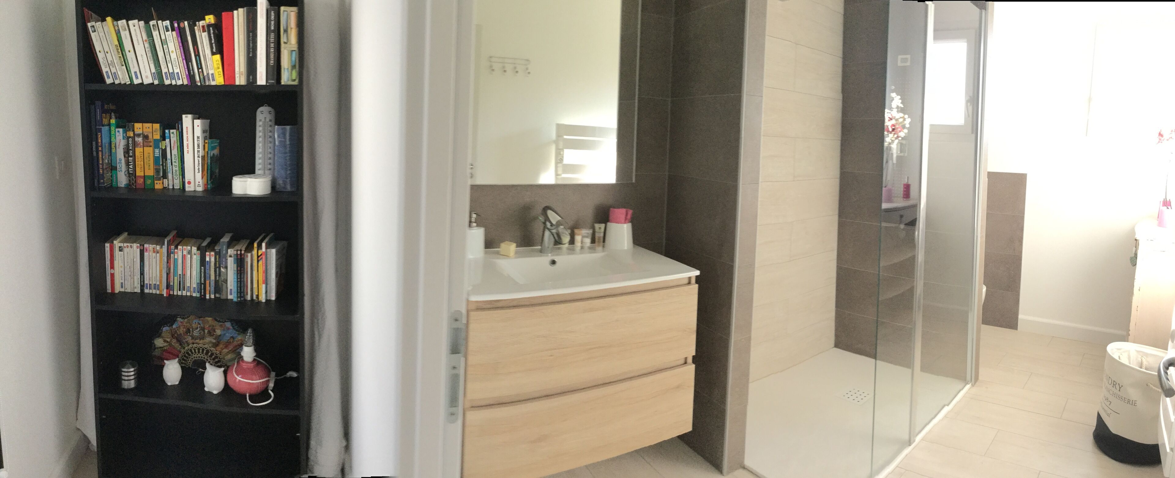 A bathroom with a glass shower enclosure, a sink with toiletries, and a bookshelf with books.