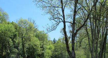 Gîte in the middle of nature with river and wood views in the Morvan region of France