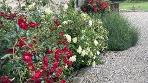 A garden with red and white flowers, a stone wall, and a gravel path.
