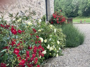 DĂ©tail de lâextĂ©rieur