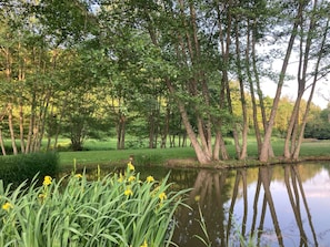 Terrain de l’hébergement 