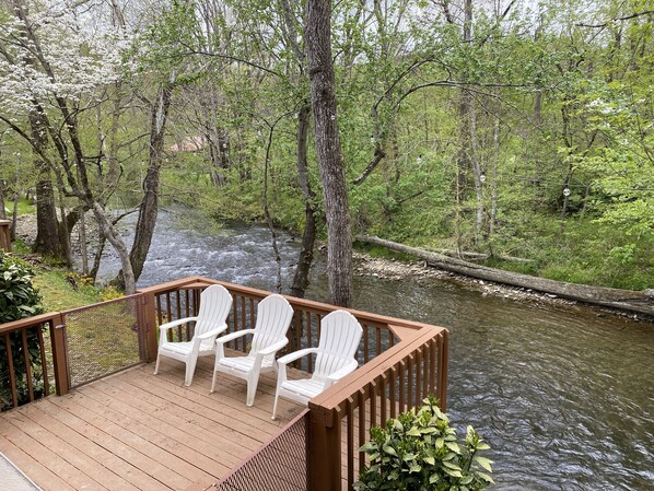 Cabin, 2 Bedrooms | Property grounds - Gray's Place on Cosby Creek - 2 Bedrooms, 2 Baths, Sleeps 6 Home by RedAwning (Cosby)