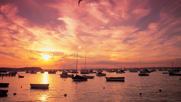 Un port de plaisance où de nombreux bateaux sont amarrés au coucher du soleil.