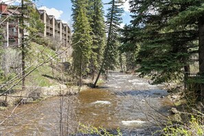 A river flowing through a forested area with a building on the left.