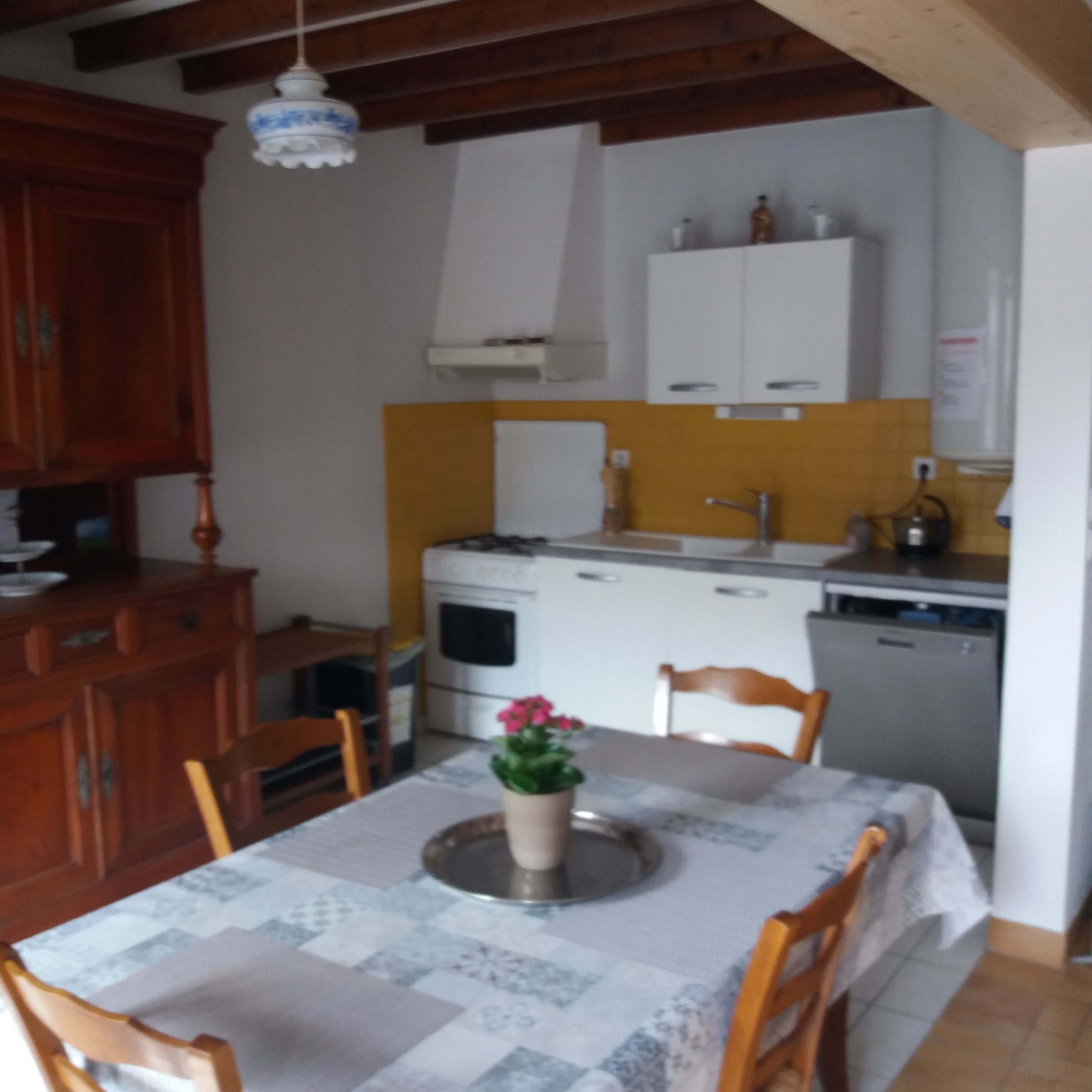 Une cuisine compacte avec des meubles blancs, une cuisinière et un évier. On y trouve une table à manger avec des chaises, et une plante en pot posée dessus.