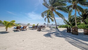 Une plage avec des transats et des palmiers.