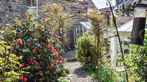 Un bâtiment en pierre avec un jardin devant, comprenant un rosier et une serre.