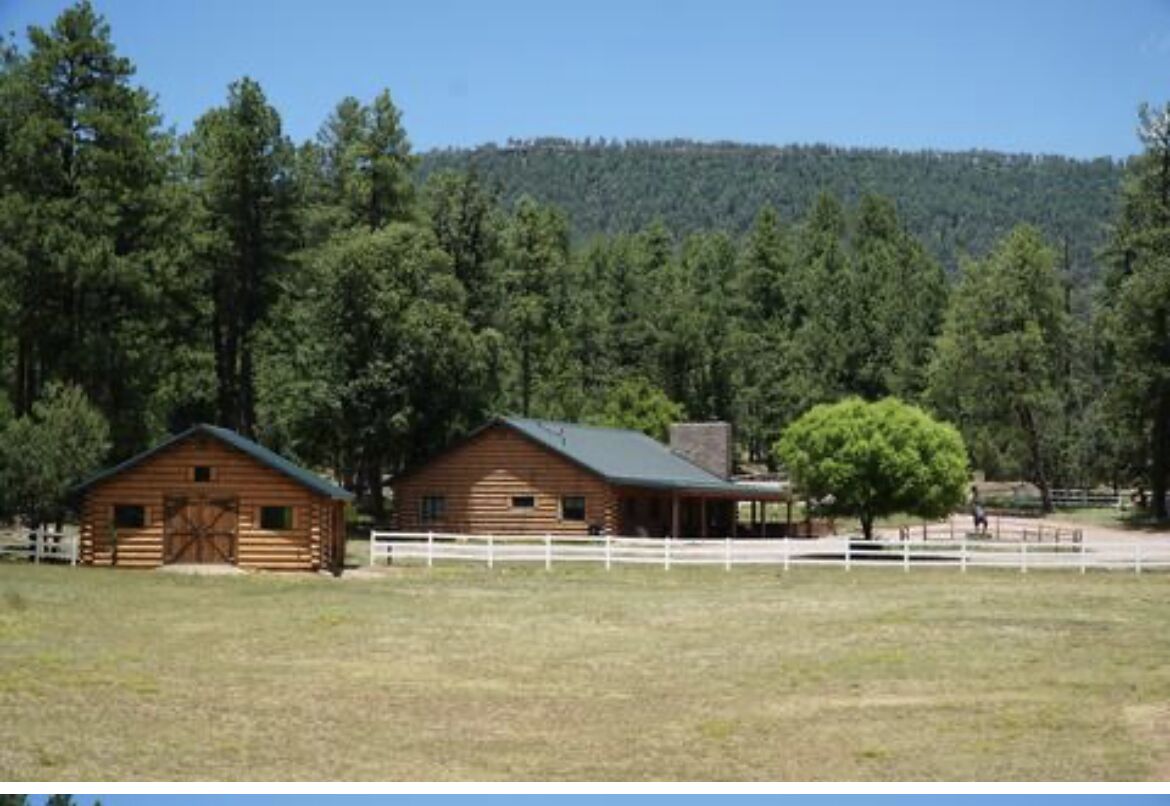 Colcord Cabin on 3 acres