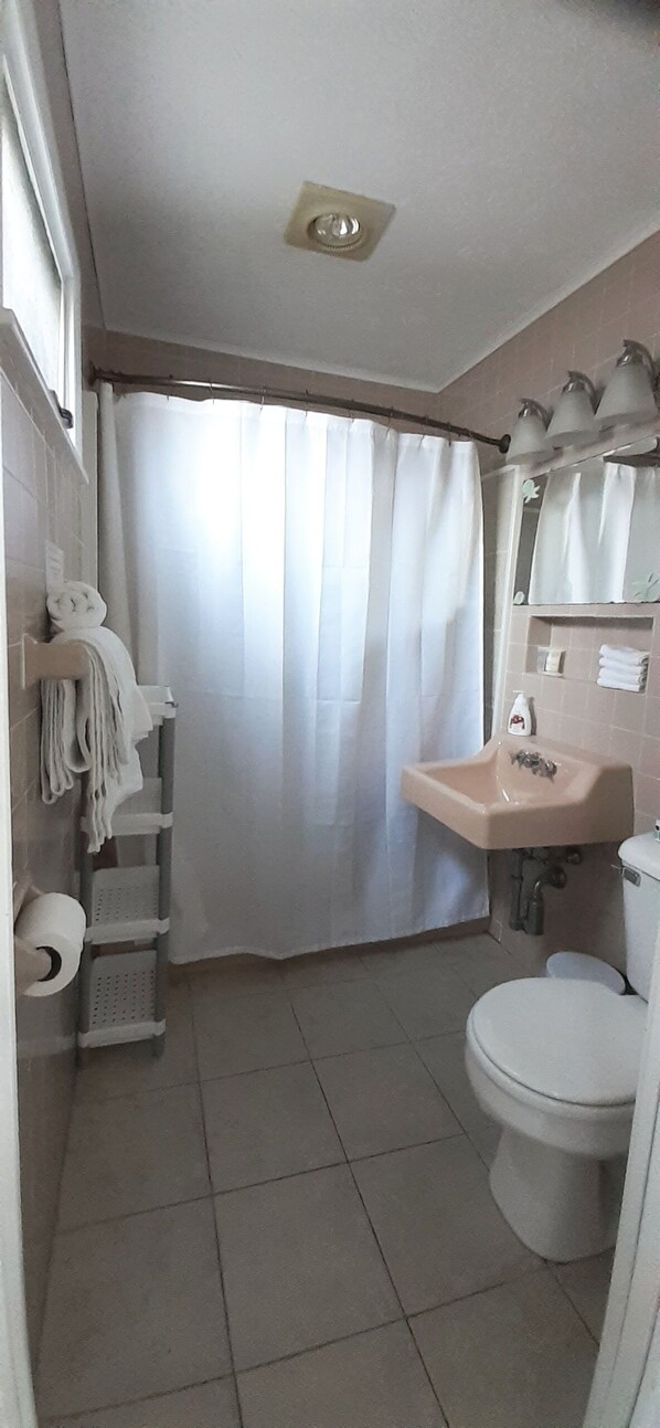 Une petite salle de bain avec des toilettes, un lavabo et un rideau de douche.