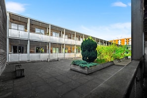 A courtyard with a modern building, a large tree, and a planter with greenery.