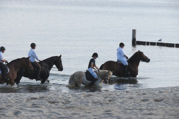 Une scène de plage où l’on voit des gens à cheval.