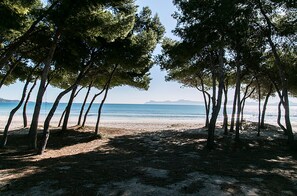 In Strandnähe, Sonnenschirme