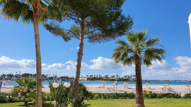 Vista de platja amb palmeres, cel serè i zona de piscina.
