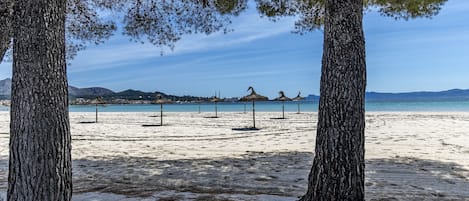 海灘