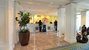 A hotel reception area with a check-in counter, a large potted plant, and a blue rope barrier.