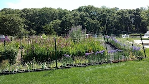 Un jardín con diversas plantas y flores, un camino y una cerca.