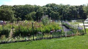 Property grounds - Beach Cottage, East Hampton (East Hampton)