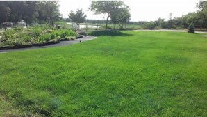 A well-maintained grassy area with a small pond and trees in the background. - Rex- East Hampton Cottage- 5 stars (East Hampton)