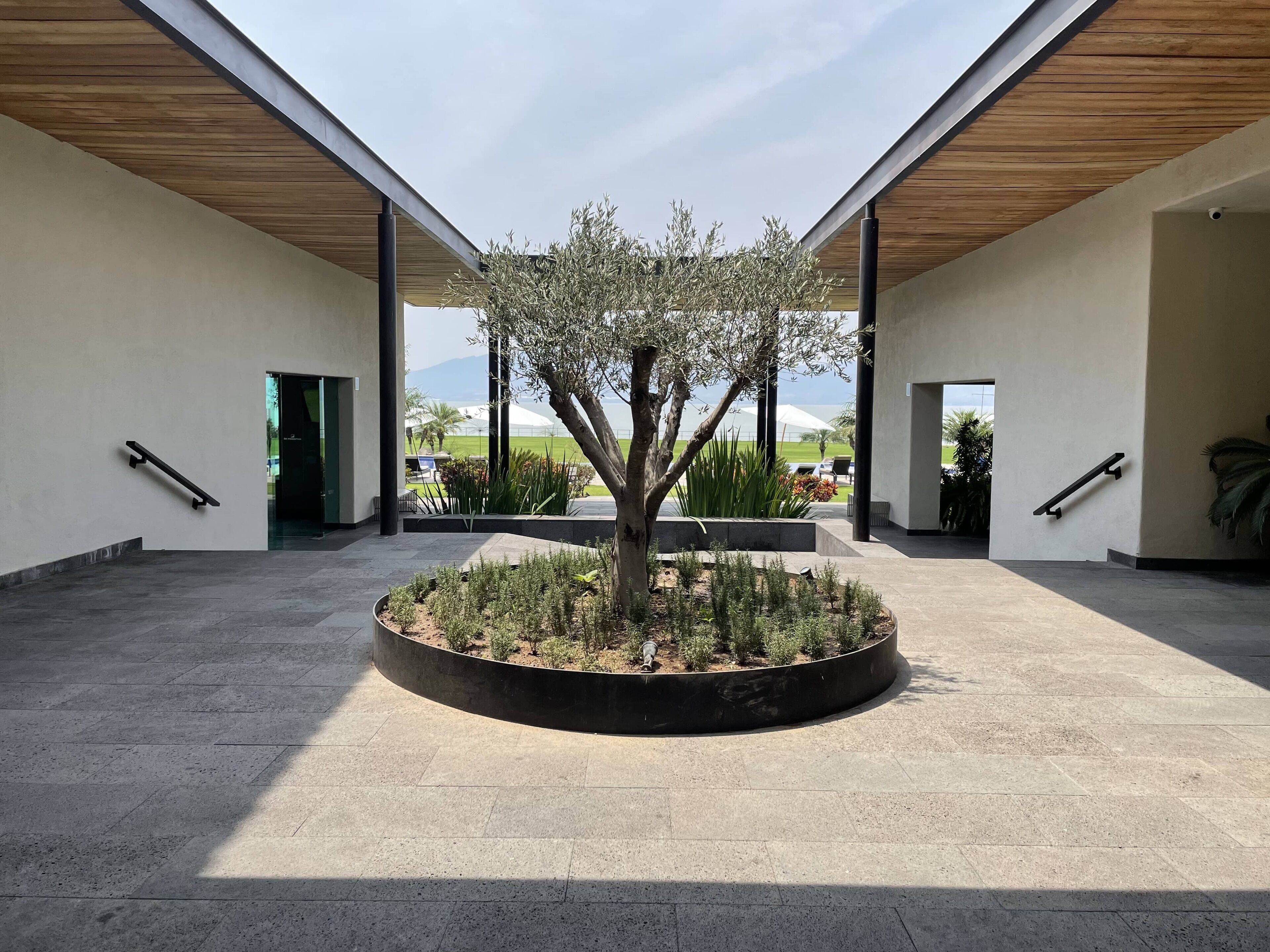 Un edificio moderno con un patio central que presenta un árbol y plantas.
