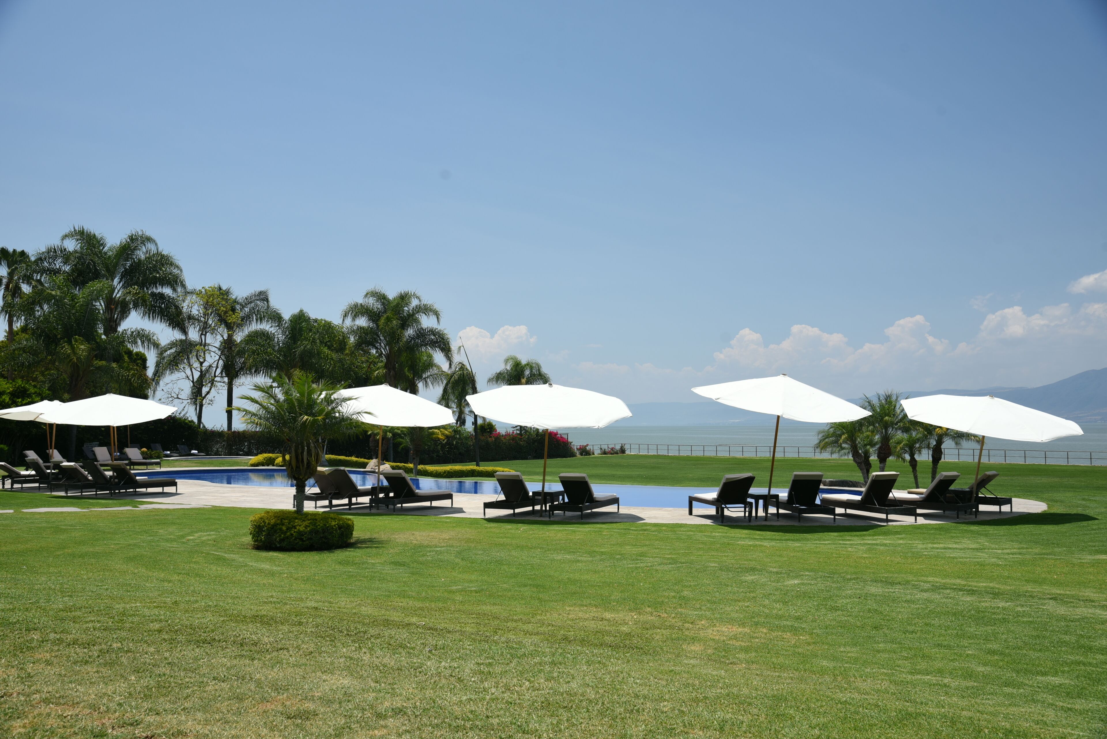 A poolside area with lounge chairs and umbrellas, surrounded by palm trees and a view of the ocean.