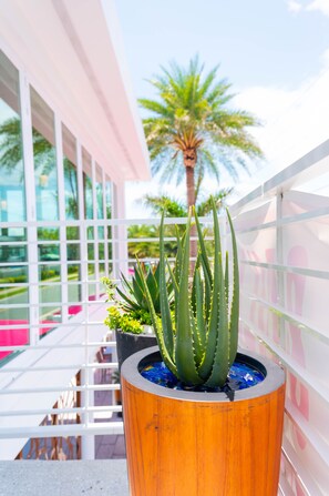 Exterior - The Saint Hotel (St. Pete Beach)