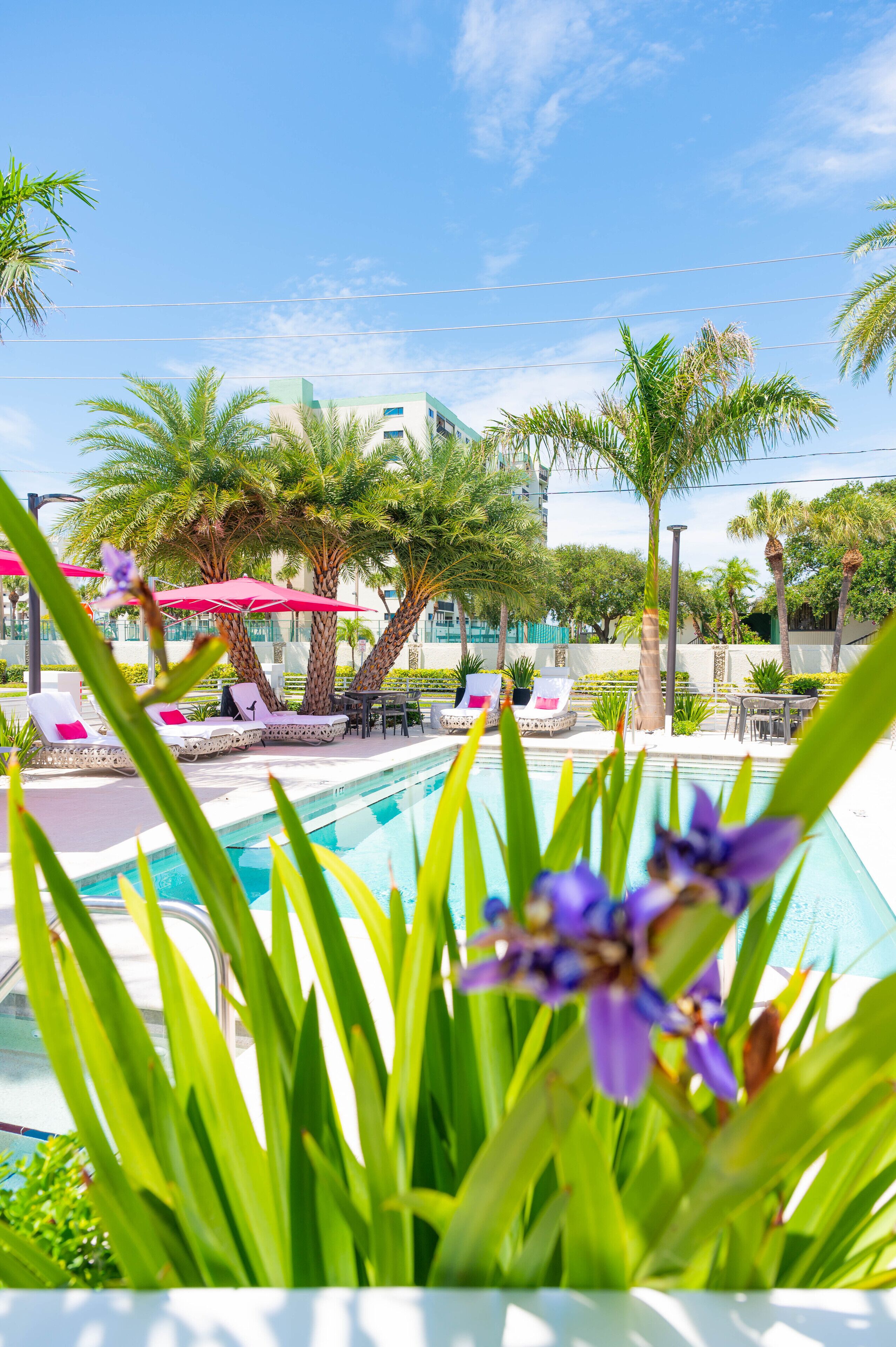 outdoor pool, pool cabanas (surcharge), pool umbrellas