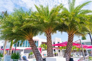 Exterior - The Saint Hotel (St. Pete Beach)