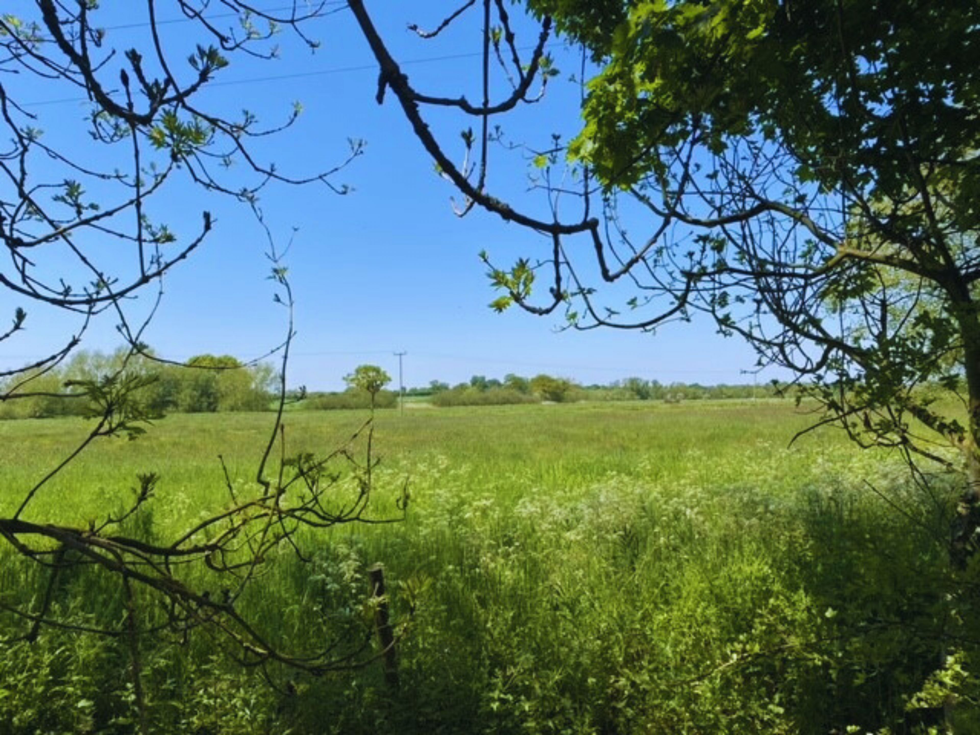 A rural landscape with a field and trees.