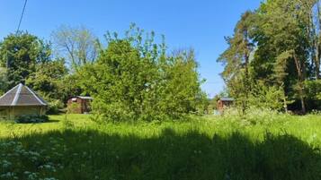 A rural landscape with two wooden houses surrounded by lush greenery and trees.