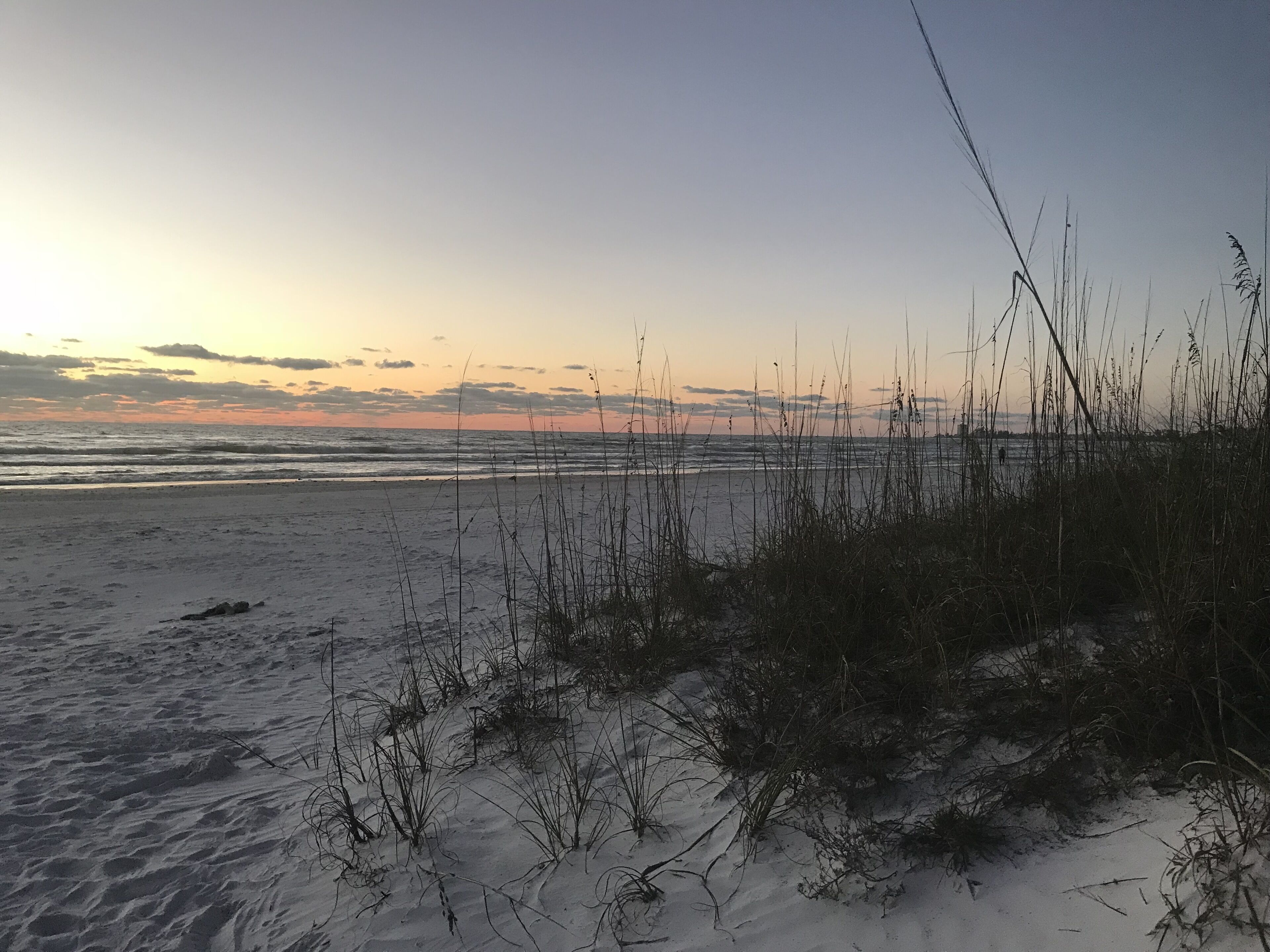 Een strand met zand en schaarse begroeiing.