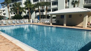 A rectangular swimming pool with clear blue water, surrounded by a tiled deck. - Newly Remodeled-150 Yards to Beach and Restaurants! (Sarasota)
