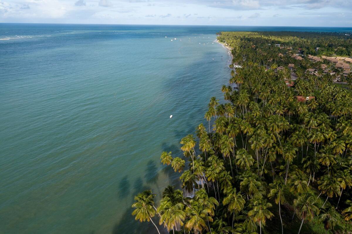 Luxury Chalet | Aerial view